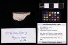 Foto (Objekt + Etikett) von Paguroidea indet.  (NHMW-GEO-2017-0089-0057)